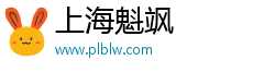 上海魁飒